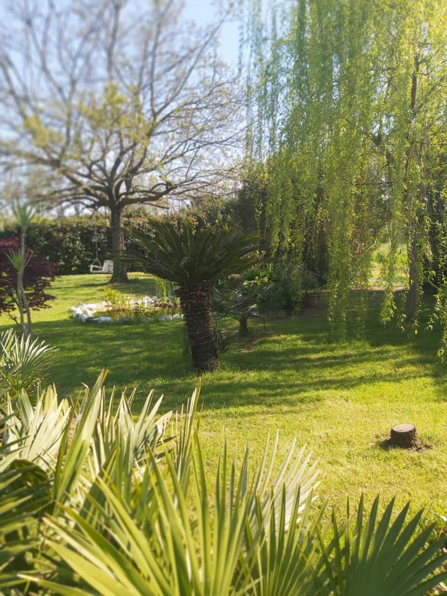 Villa Fioccomare Camaiore Exterior photo